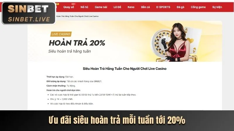 Các chương trình khuyến mãi và ưu đãi đặc biệt của vip52 win